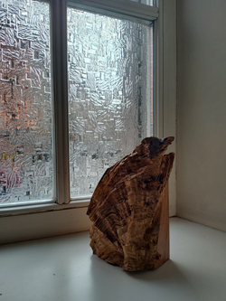 IMG20260321121539104HDR